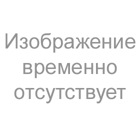 Флокс 'Вечерний Донецк' /  Phlox 'Vechernij Doneck'
