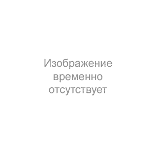 Флокс 'Вечерний Донецк' /  Phlox 'Vechernij Doneck'